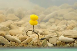 rig& baits